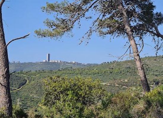 israel/zikhron-ya-akov/attraction/mount-carmel-national-park