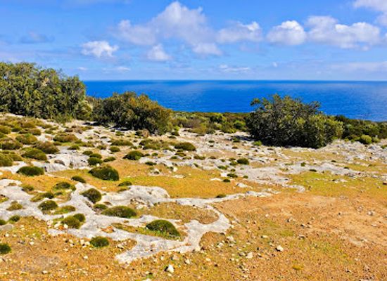 australia/kangaroo-island/attraction/cape-borda-lighthouse