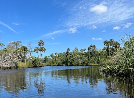 florida/nature-coast/attraction/james-e-grey-preserve