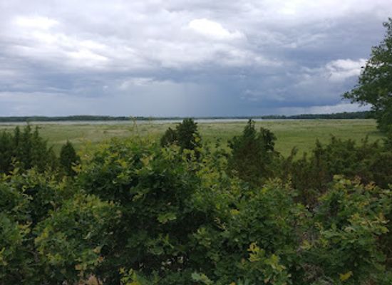 sweden/vastmanland/attraction/askoviken-tido