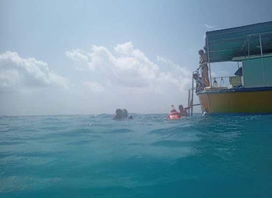 maldives/male-atoll/attraction/snorkel-marine-fauna