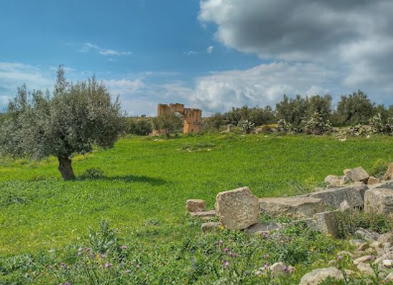tunisia/northern-tunisia/attraction/temple-of-juno-caelestis