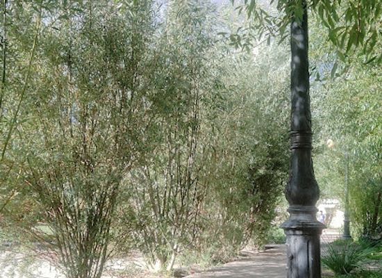 india/leh-ladakh/attraction/public-park