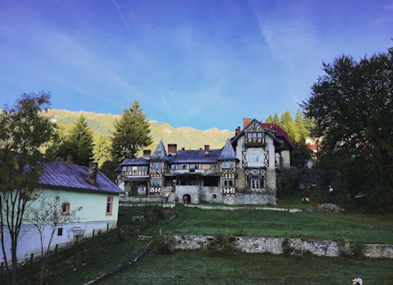 romania/prahova/attraction/vila-take-ionescu