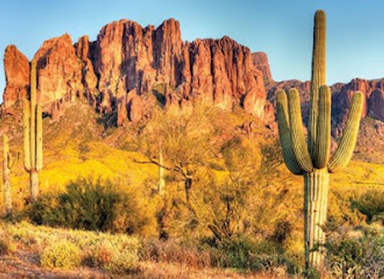 arizona/saguaro-national-park/attraction/rio-vista-natural-resource-park