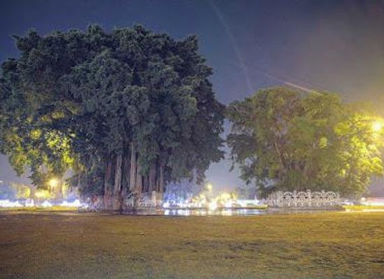 indonesia/yogyakarta/attraction/alun-alun-kidul-st