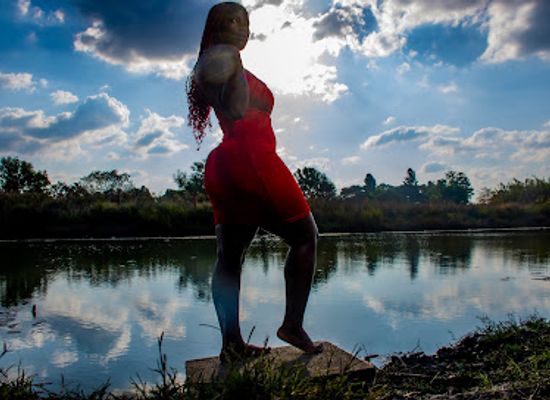 zimbabwe/harare/attraction/mount-pleasant-wetland