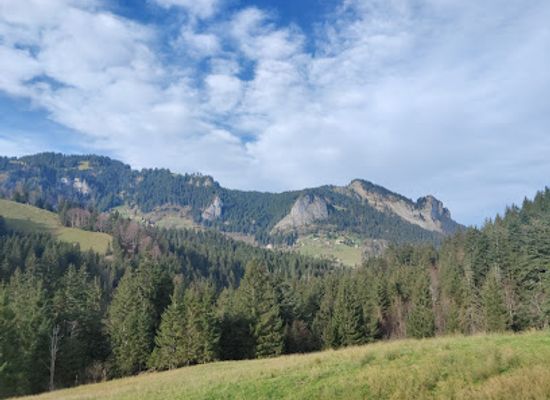 austria/dornbirn/attraction/wasserfall-ebniter-ache