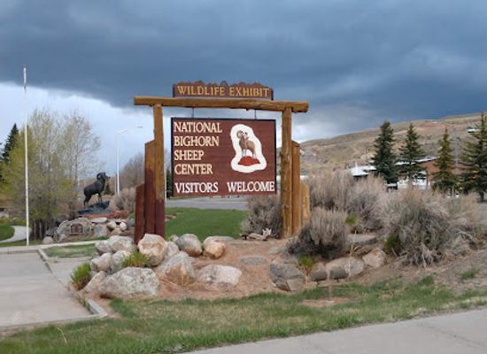 wyoming/wind-river-range/attraction/national-bighorn-sheep-center