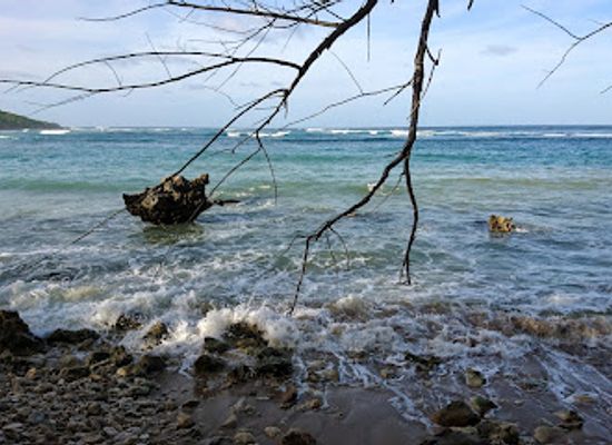barbados/saint-john/attraction/congor-bay
