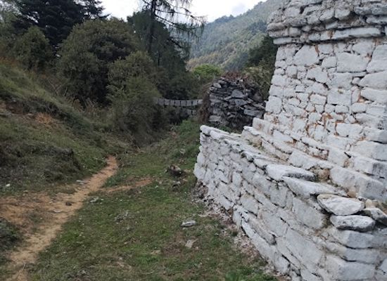 bhutan/phobjikha-valley/attraction/shasila-nature-trail
