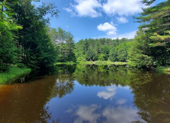 vermont/molly-stark-state-park/attraction/sweet-pond