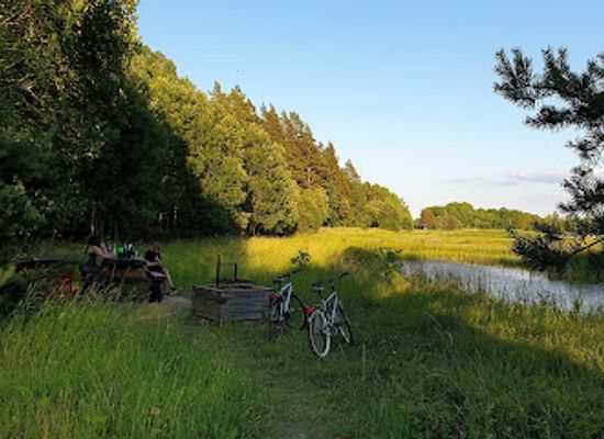 sweden/ostergotland/attraction/vallaskogen