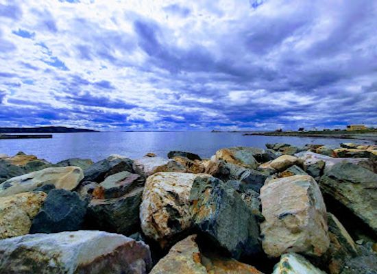 canada/avalon-peninsula/attraction/discovery-sea-adventure-tours