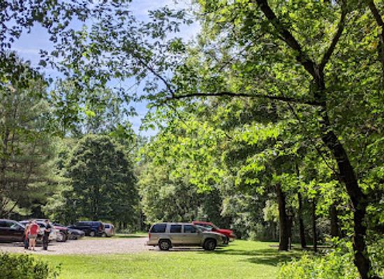 ohio/appalachian-ohio/attraction/wildcat-hollow-hiking-trail-wayne-national-forest