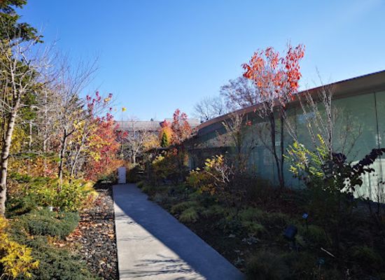 japan/iki/attraction/hiroshi-senju-museum-karuizawa