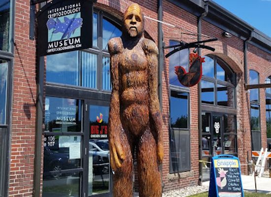 maine/portland/attraction/international-cryptozoology-museum