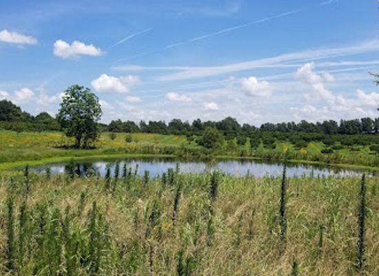 missouri/bootheel/attraction/morris-state-park