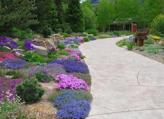 colorado/leadville/attraction/betty-ford-alpine-gardens