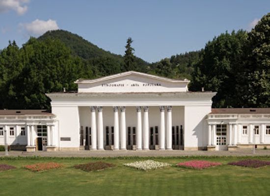 romania/crisana/attraction/county-museum-of-ethnography-and-folk-art