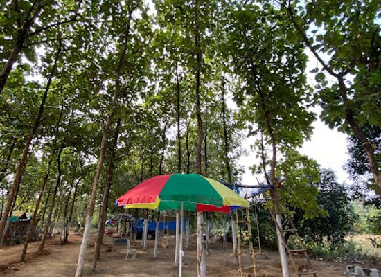 india/north-india/attraction/bhimson-s-agro-park-tourism