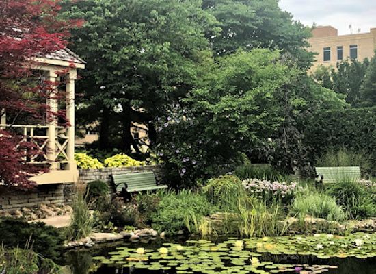 wisconsin/madison/attraction/allen-centennial-garden