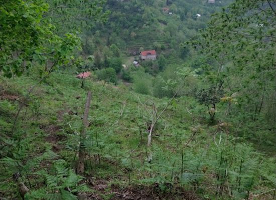 georgia/samegrelo-zemo-svaneti/attraction/chakvi-hiking-trail