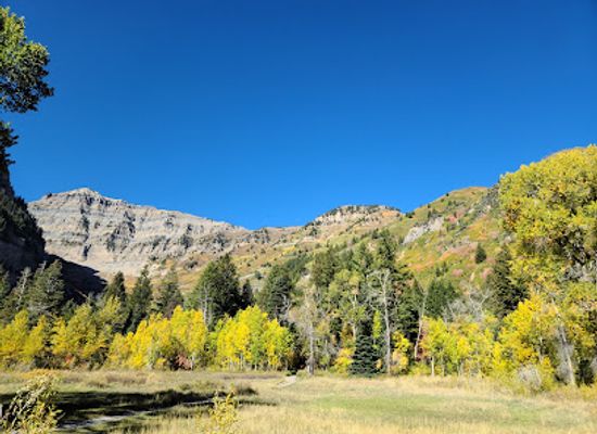 utah/sundance/attraction/stewart-falls-trailhead