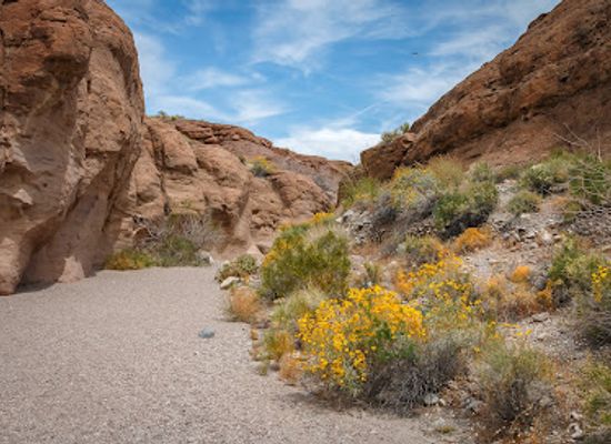 nevada/lake-mead-national-recreation-area/attraction/arizona-hot-spring-trailhead