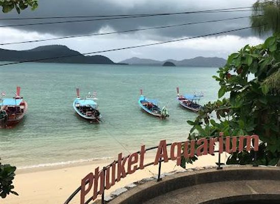 thailand/phuket/attraction/phuket-aquarium
