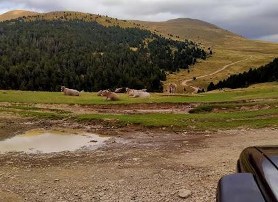andorra/encamp/attraction/vw-t1