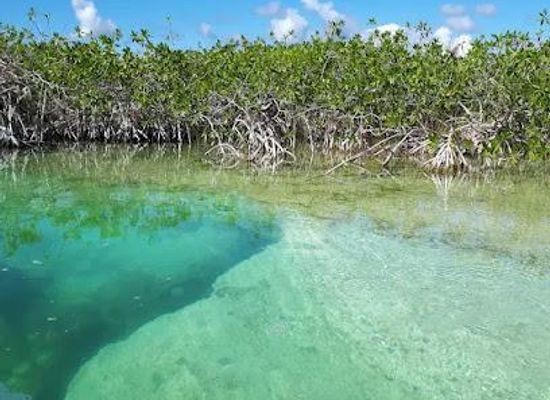 mexico/tulum/attraction/laguna-chunyaxche