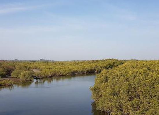 the-gambia/lamin/attraction/makasutu