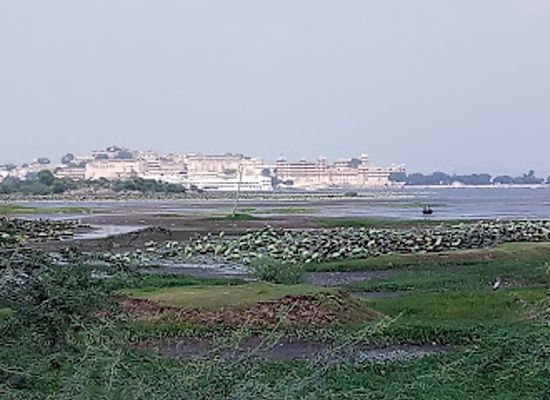 india/udaipur/attraction/pratap-park