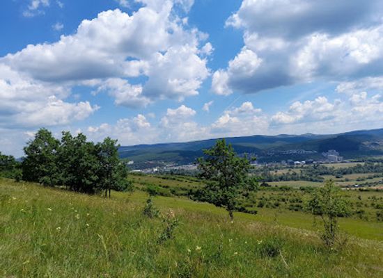 romania/cluj-napoca/attraction/poiana-rotunda