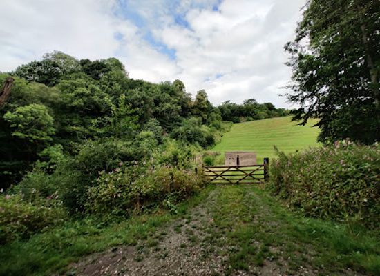 united-kingdom/north-west-england/attraction/jumbles-country-park