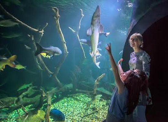 croatia/banovina/attraction/aquatika