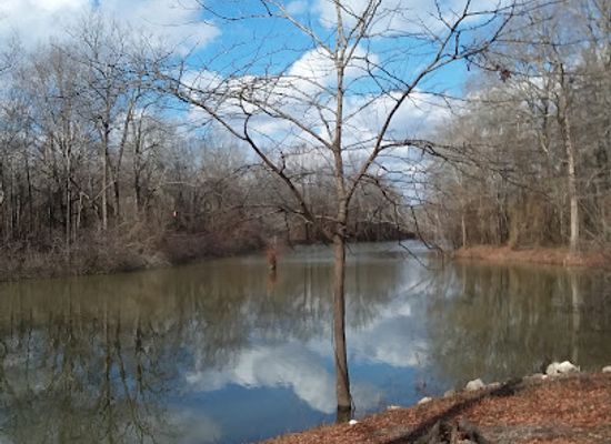 mississippi/the-loess-hills/attraction/panther-swamp-national-wildlife-refuge
