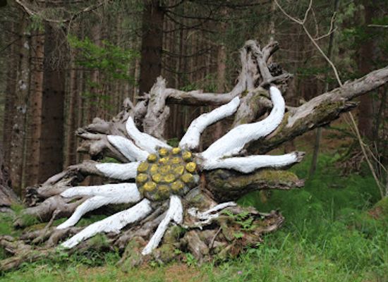 austria/gurktal/attraction/wurzelpark-arriach-gerlitzen