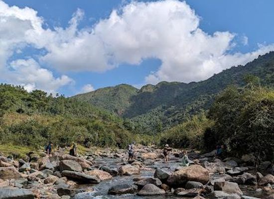 india/meghalaya/attraction/mawphlang-david-scott-trail-east-khasi-hills-district-meghalaya-india