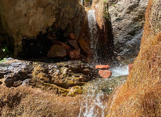 australia/northern-territory/attraction/zebedee-springs