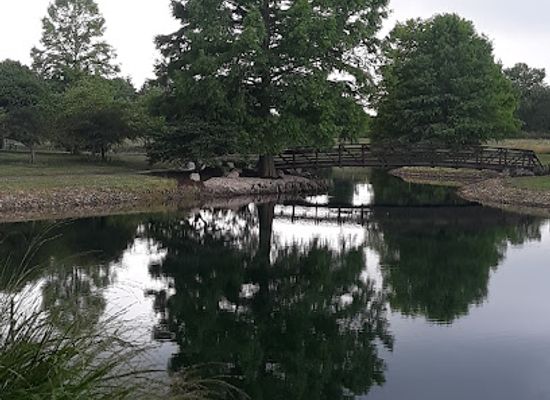 ohio/firelands/attraction/james-h-mcbride-arboretum