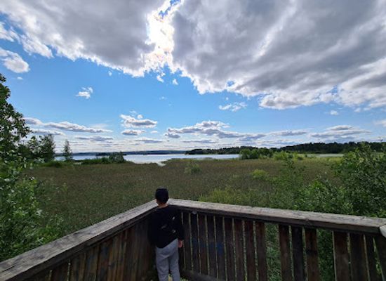 finland/lahti/attraction/kilpiaistenpohja-bird-tower