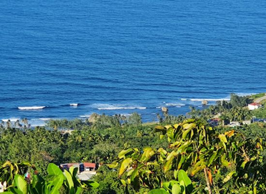 barbados/south-coast/attraction/hackleton-s-cliff-community-park