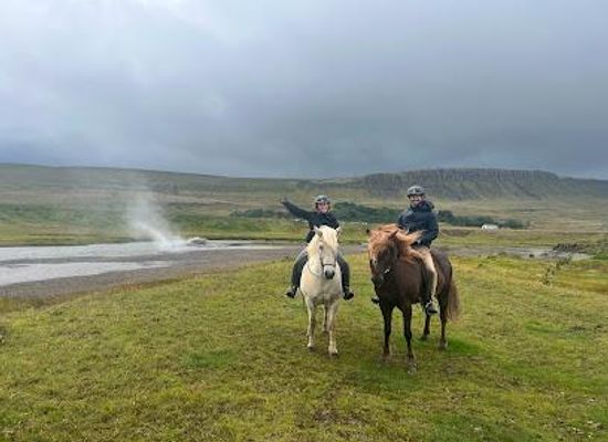 iceland/western-region/attraction/sturlureykirhorses