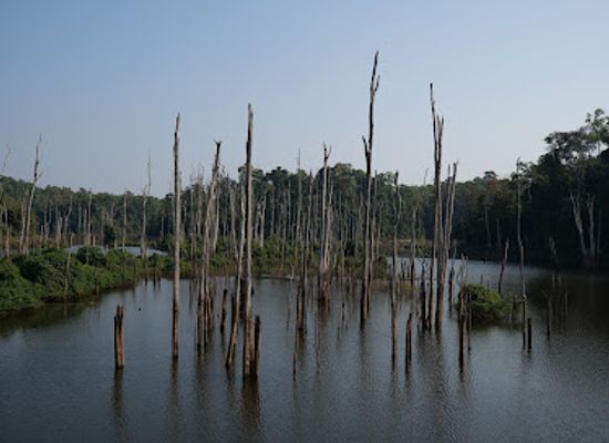 laos/khammouane-province/attraction/flooded-forest-viewpoint