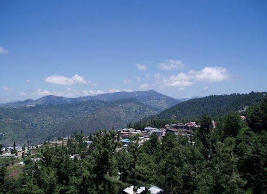 pakistan/murree/attraction/murree-forest