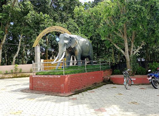 nepal/chitwan/sauraha/attraction/wildlife-display-information-center