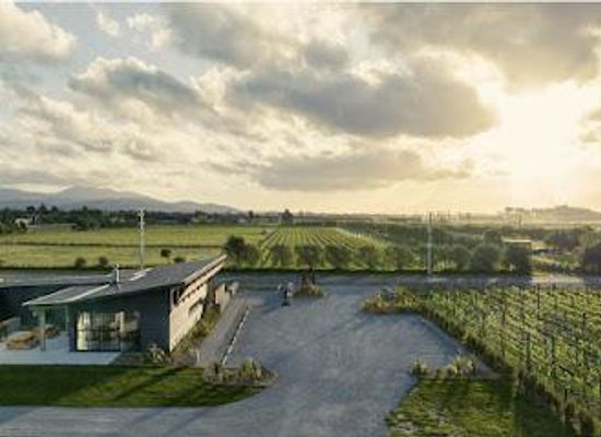 new-zealand/manawatu-wanganui/attraction/nga-waka-vineyard