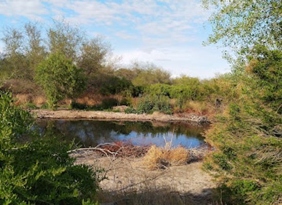texas/red-river-valley/attraction/rio-bosque-park